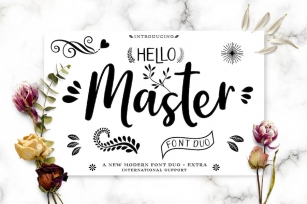 Hello Master Script Font DUO Font Download