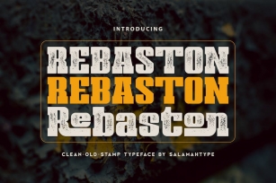 Rebaston - Display Serif Font Download