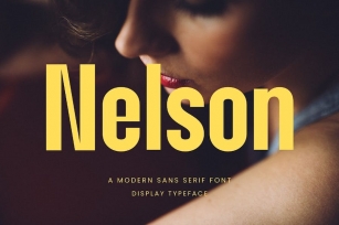 Nelson Modern Sans Serif Font Typeface Font Download
