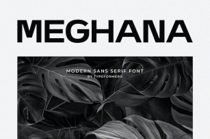 Meghana - Modern Sans Serif Font Download