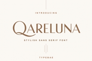 Qareluna Stylish Sans Serif Font Font Download