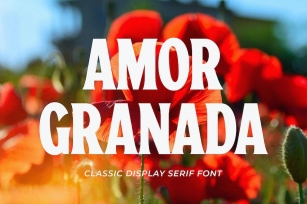 Amor Granada - Classic Display Serif Font Download
