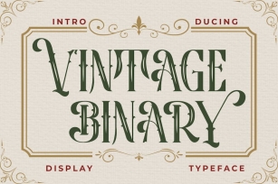 Vintage Binary - Display Typeface Font Font Download