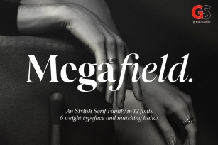 Megafield Font Family Font Download