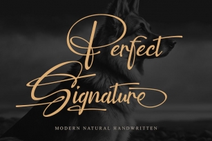 Perfect Signature Font Download