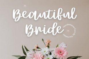 Beautiful Bride Modern Calligraphy Font Font Download