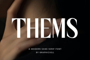 Thems Elegant Sans Serif Font Font Download