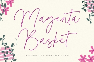 Magenta Basket Script Font Font Download