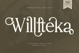 Willfteka A Modern Serif Font Font Download