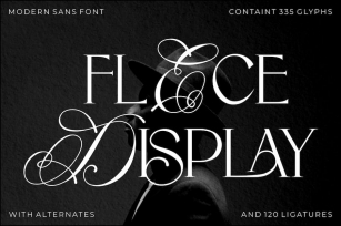 Flece Display - Modern Sans And Calligraphy Font Font Download