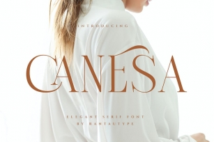 Canesa Elegant Serif Font Font Download