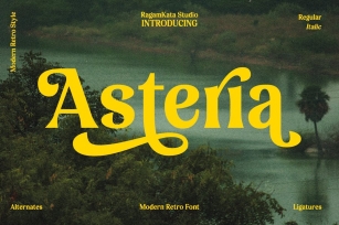 Asteria - Retro Display Typeface Font Download