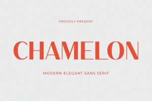 Chamelon - Modern Elegant Sans Serif Font Download