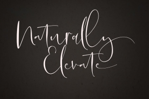 Naturally Elevate Font Download