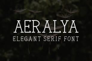 Aeralya - Serif Font Font Download