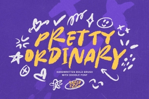 Pretty Ordinary - Bold Font + Doodle Font Download