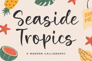 Seaside Tropics Handwriting Font Font Download