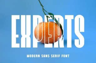 Experts Modern Sans Serif Font Typeface Font Download