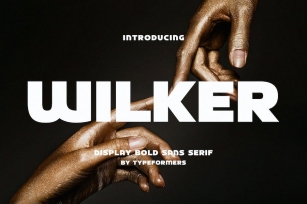 Wilker - Display Bold Sans Font Download