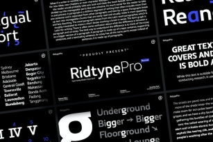 Ridtype Pro - Font Family Font Download
