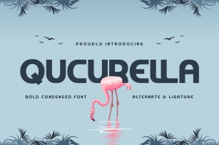 Qucurella - Bold Condensed Font Font Download