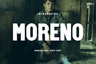 Moreno - Modern San Serif Font Font Download
