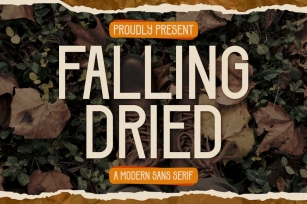 Falling Dried - Modern Sans Serif Font Font Download