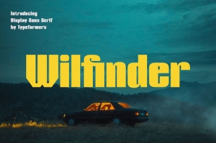 Wilfinder - Display Sans Serif Font Download