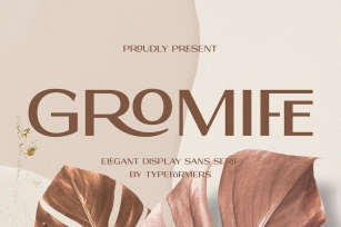 Gromife - Elegant Display Sans Serif Font Download