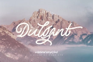 Diilgant - A Textured Script Font Font Download