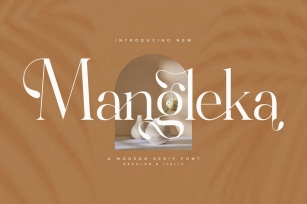 Mangleka A Modern Serif Font Font Download