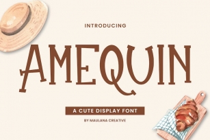 Amequin Cute Display Font Font Download