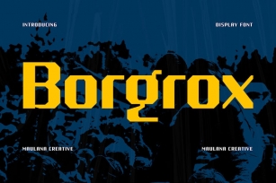 Borgrox Display Font Font Download