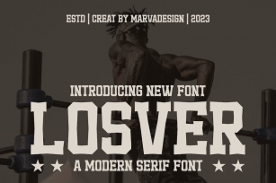 Losver - A Modern Serif Font Font Download