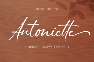 Antoniette - A Modern Handwritten Font Font Download