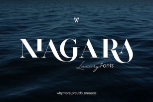 Niagara | Beautifull Serif Font Font Download
