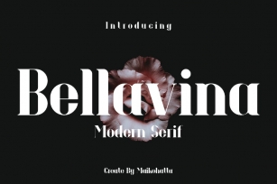 Bellavina - Modern Serif Font Font Download