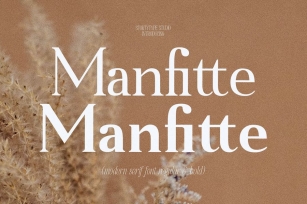 Manfitte Modern Serif Font Font Download