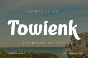 Towienk | Summer San Serif Display Font Download