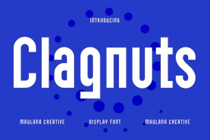 Clagnuts Sans Display Font Font Download