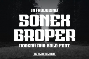 Sonex Groper Font Download
