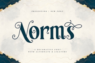 Norms - A Decorative Font Font Download