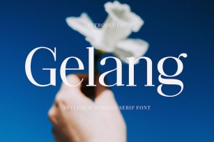 Gelang - Stylish & Modern Serif Font Font Download