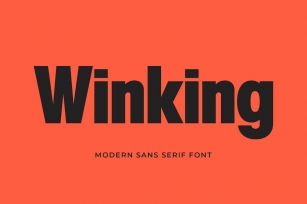 Winking - Modern Sans Serif Font Download