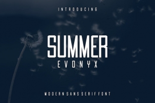 Summer Evonyx - Modern Sans Serif Font Font Download