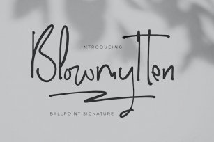 Blowmytten Ballpoint Signature Font Download
