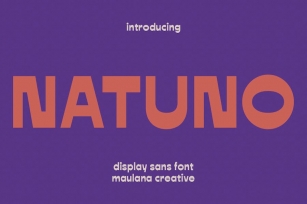 Natuno Reverse Contrast Display Sans Font Font Download