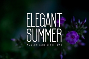 Elegant Summer - Font Font Download