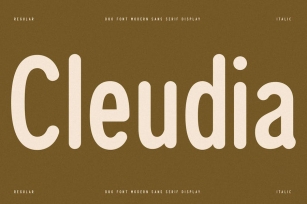 Cleudia Duo Font Modern Sans Serif Font Download
