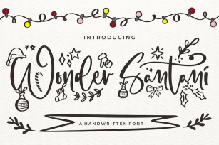 Wonder Santani Script Font Font Download
